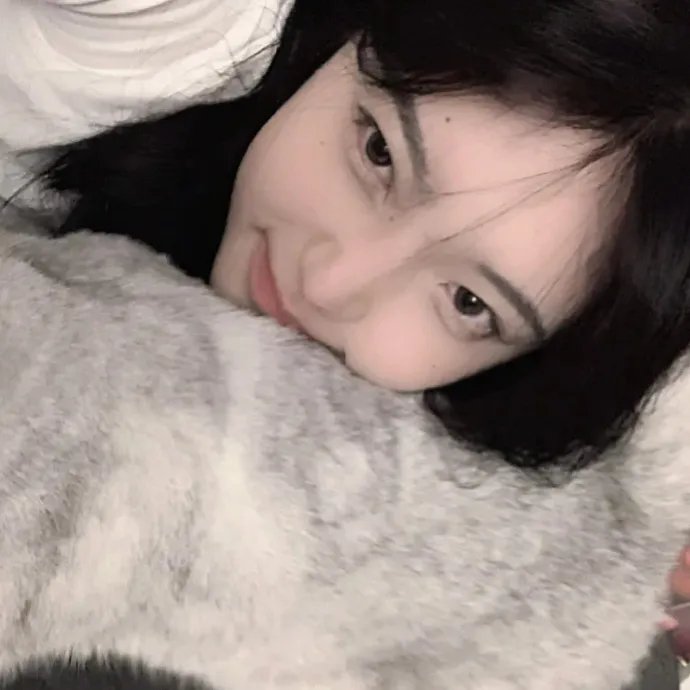 盒子里的猫 第二季